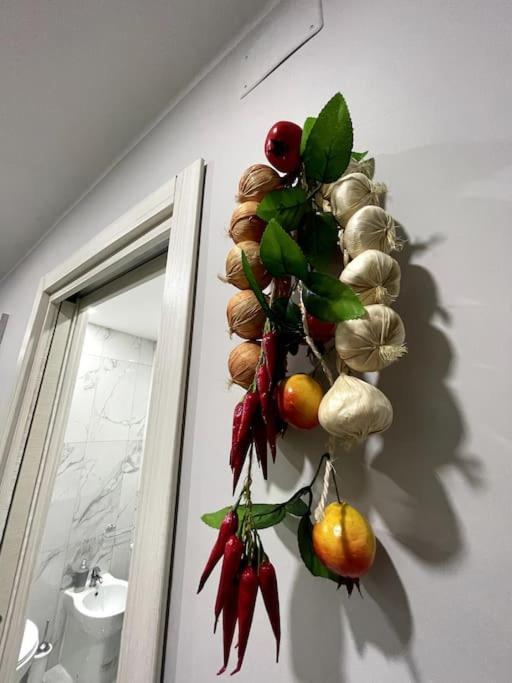 Appartamento White House Spacca *